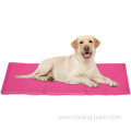 Cooling ice mat for dog